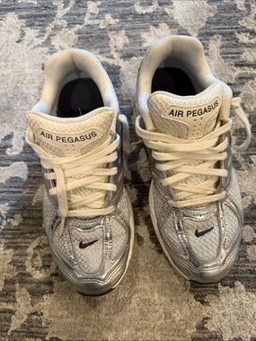 Nike Air Pegasus 2k5 chrome
